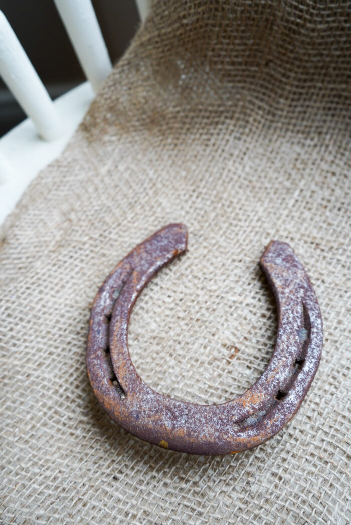 horse shoe