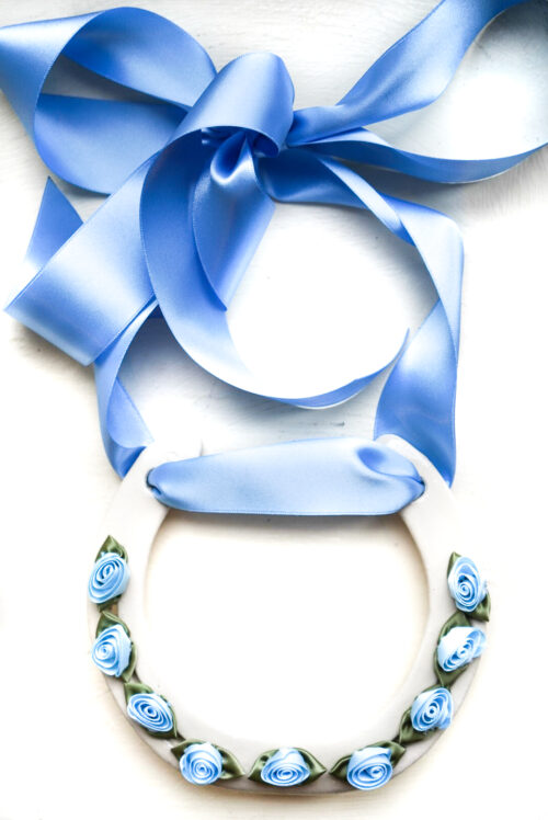 blue ribbon horse shoe