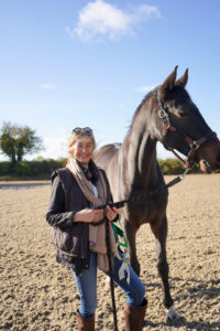 Biddys Good Luck Horse Biddys Good Luck horse