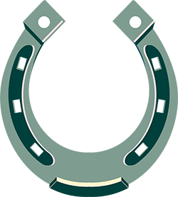 Biddy's Good Luck Horse Shoes Logo