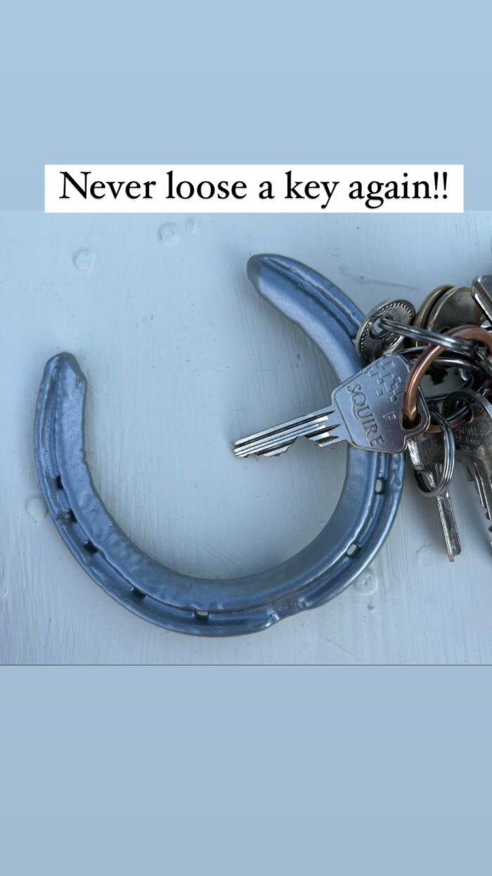 Key holders key rings horseshoe key ring holders - Image 6