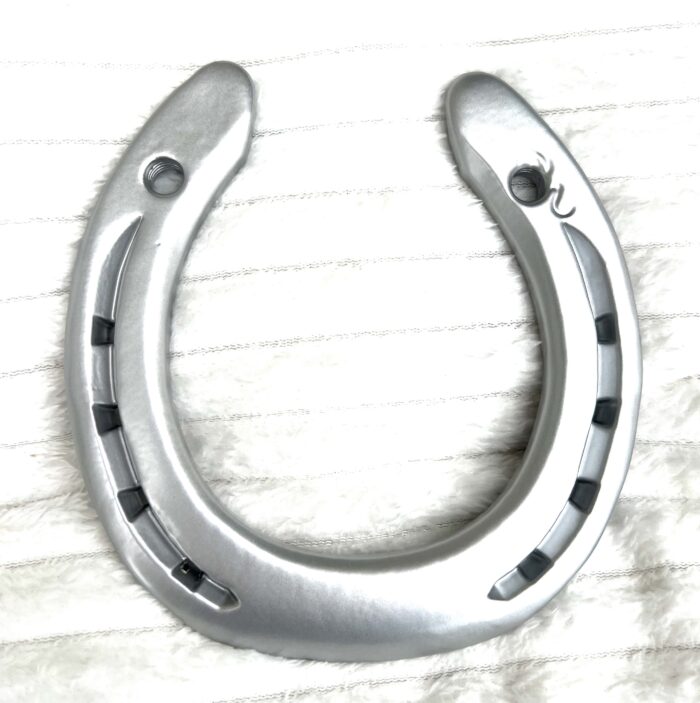 Experience creating your own horse shoe piece , Horse Shoe classes , irish Horse shoe experience - Image 3