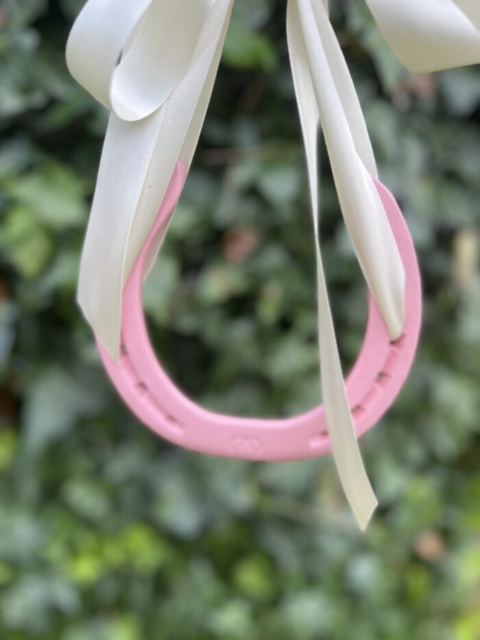 Pink Horse Shoe , Pink lucky  Horse Shoe Gift