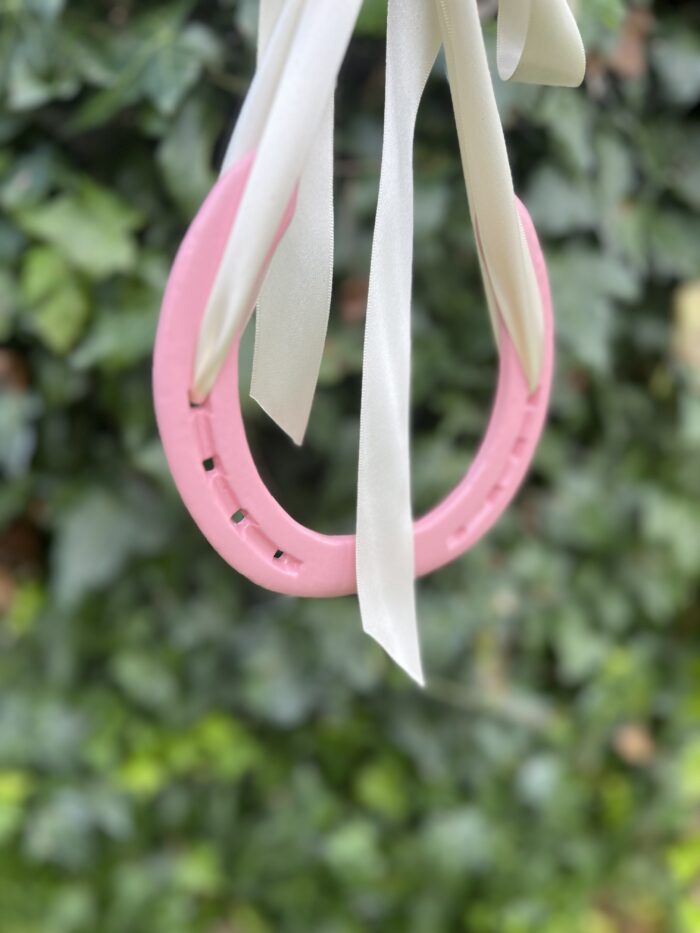 Experience creating your own horse shoe piece , Horse Shoe classes , irish Horse shoe experience - Image 4