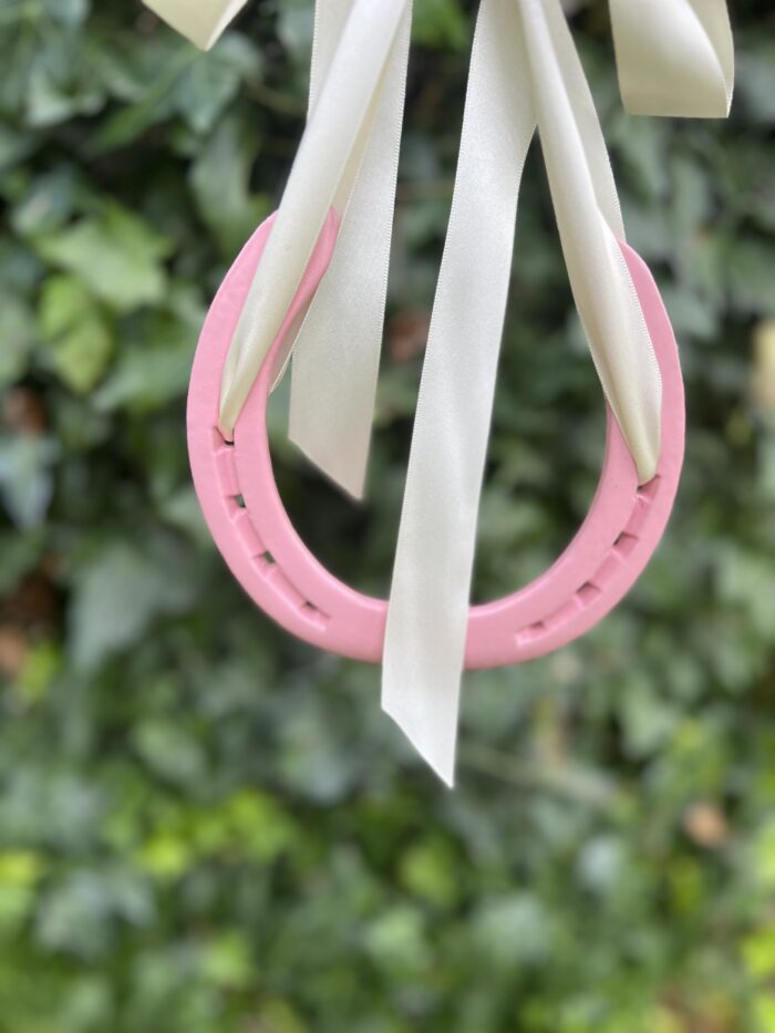 Pink Horse Shoe , Pink lucky  Horse Shoe Gift - Image 2
