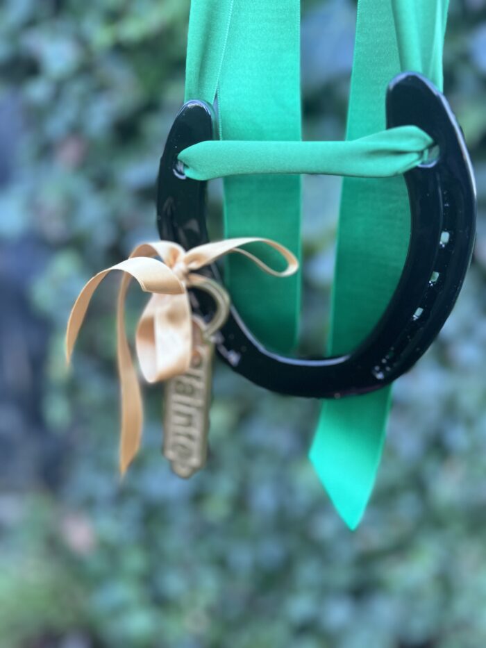 Slainte irish bottle opener and irish horse shoe