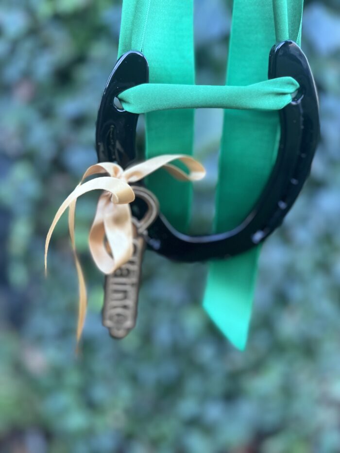 Slainte irish bottle opener and irish horse shoe - Image 2