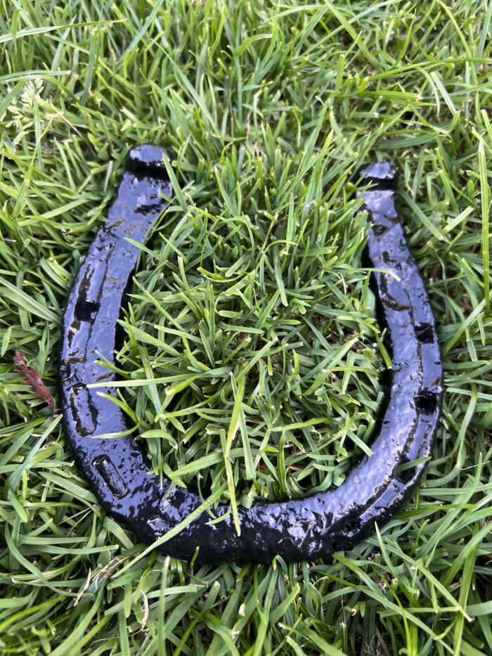 Old irish  horse shoe,