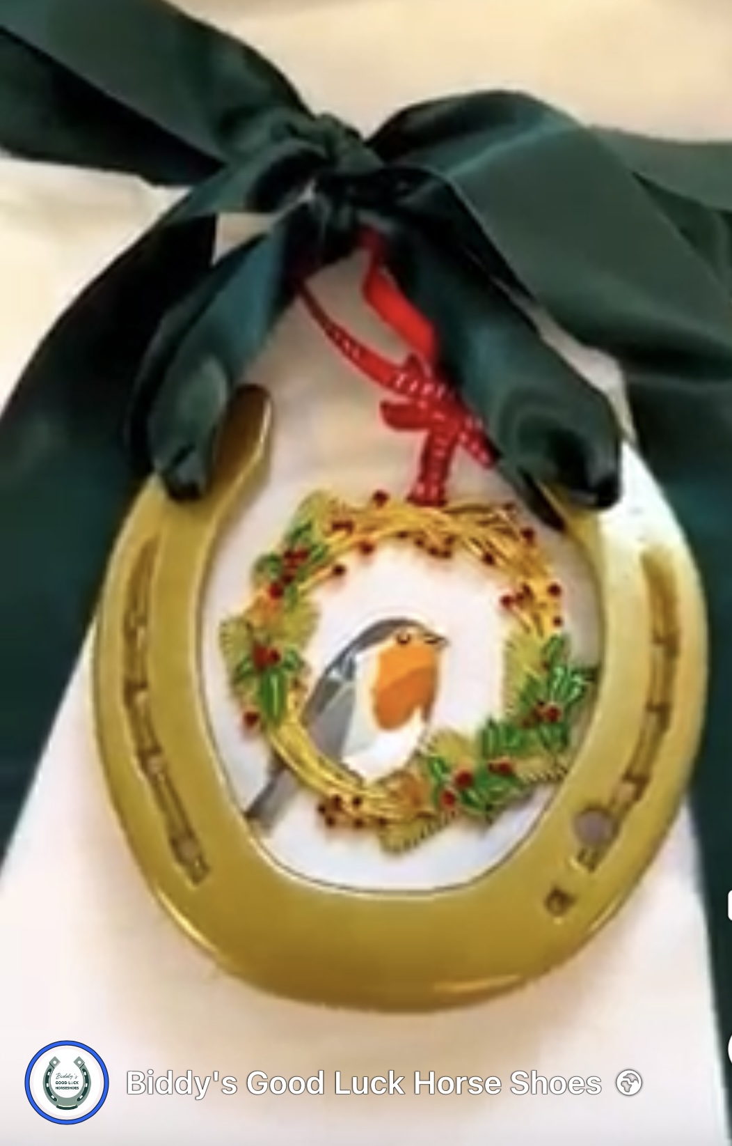 Robin and good luck horse shoe - Image 2