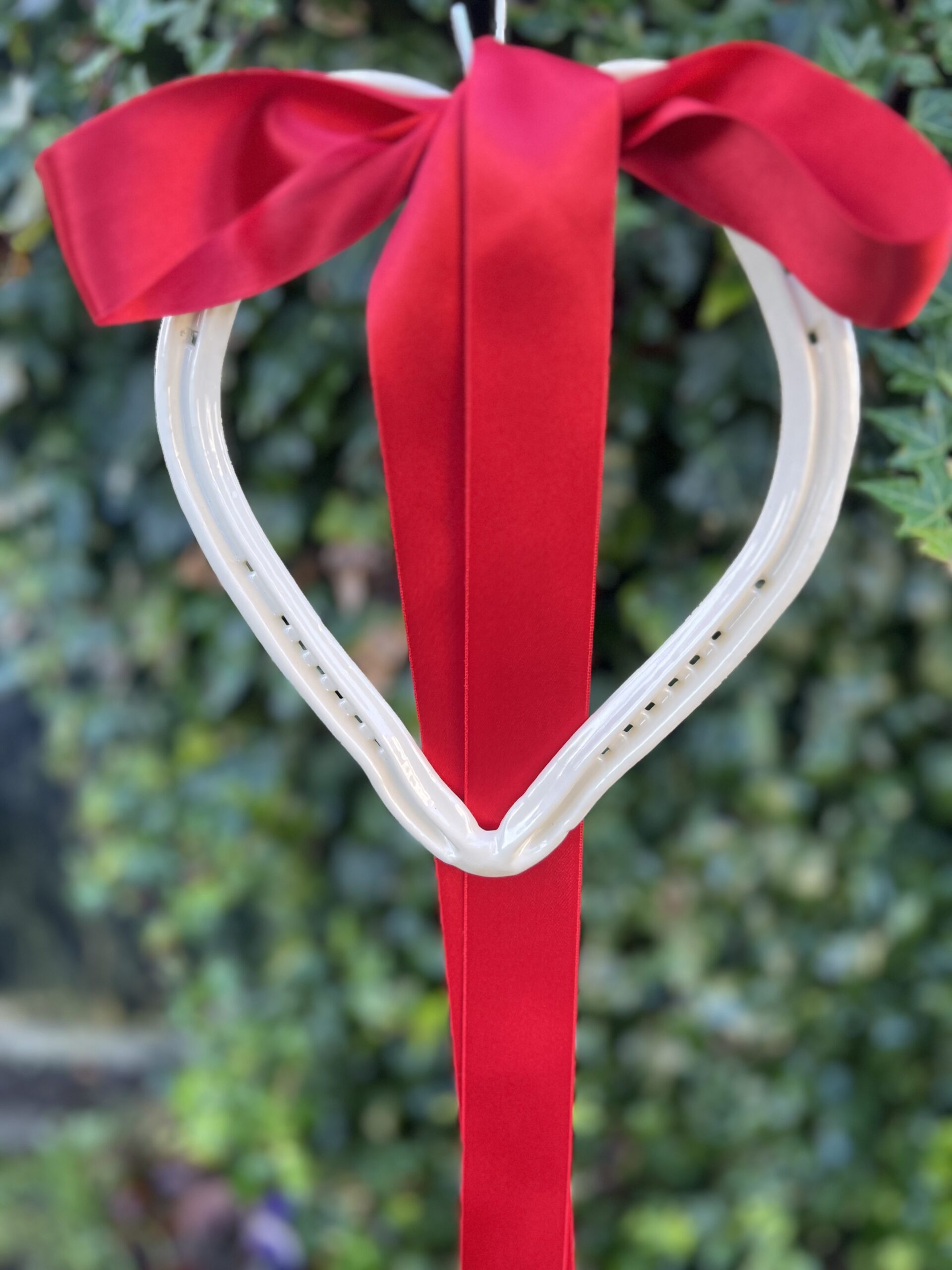 Horse shoe Heart ❤️❤️❤️ - Image 5