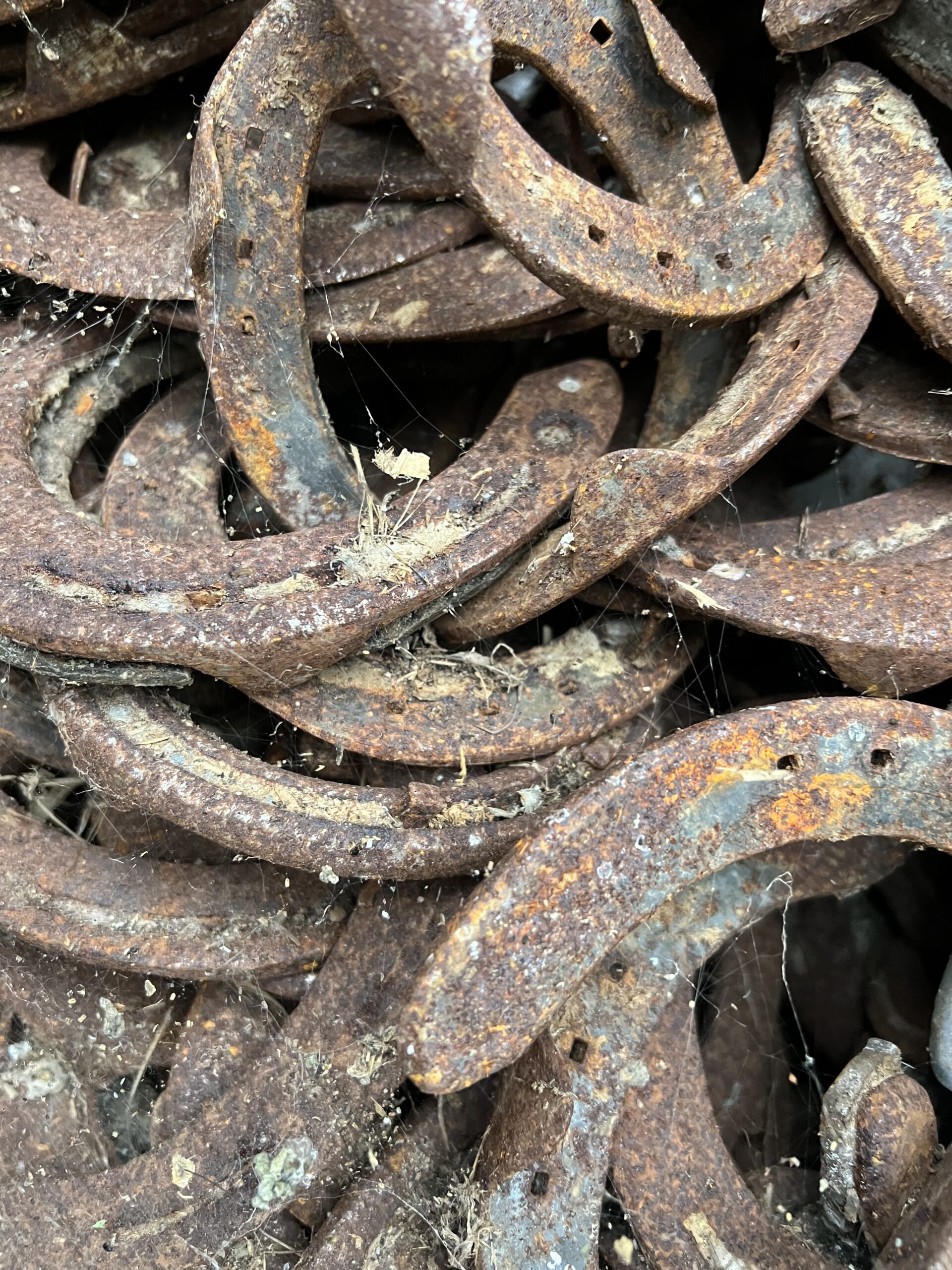 Horse Shoe to go in your Foundations - Image 4