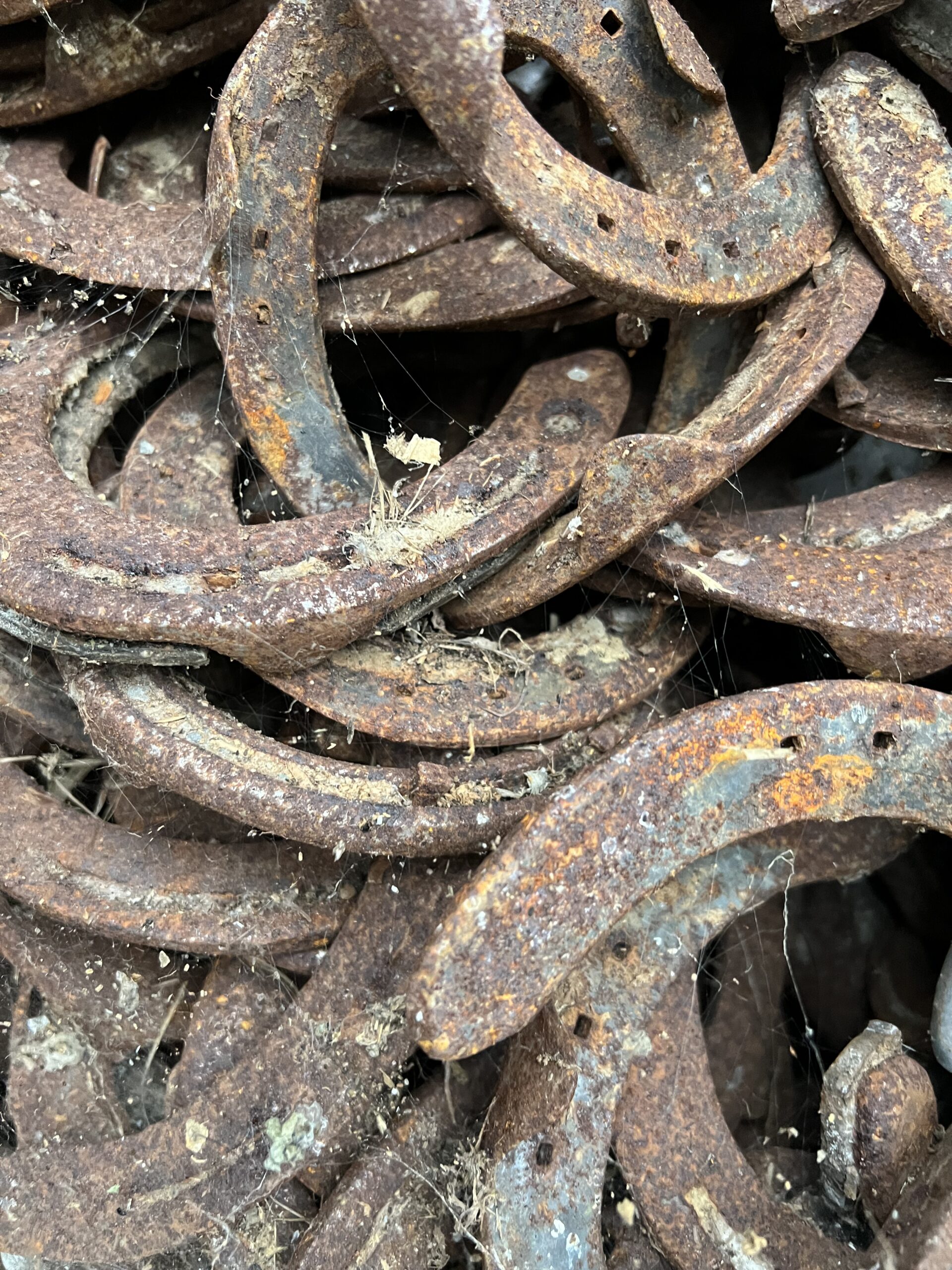 Horse Shoe to go in your Foundations - Image 3