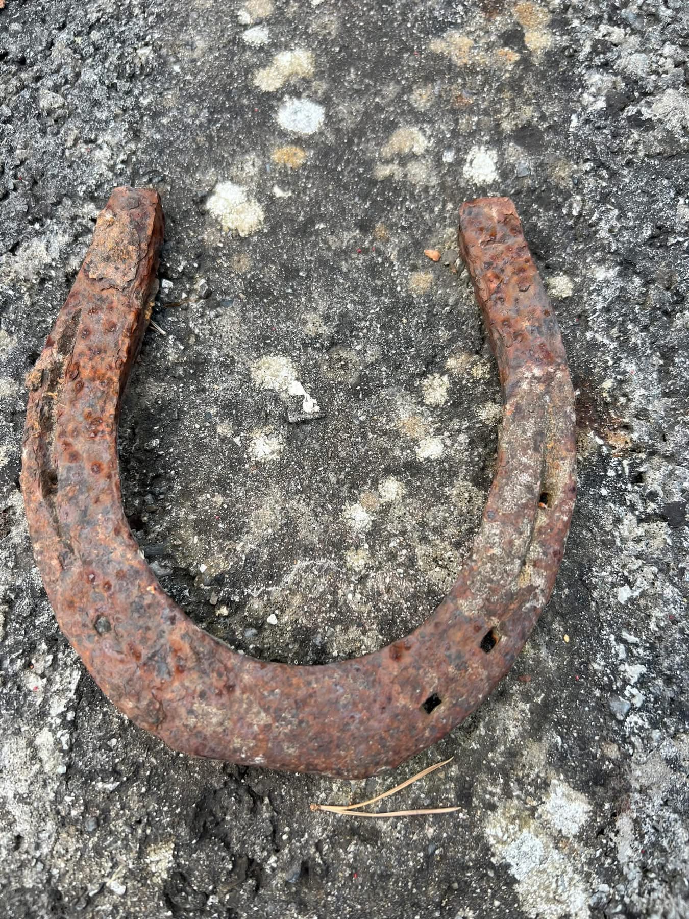 The Horse Shoe Experience 100 yrs of horse shoe history - Image 14