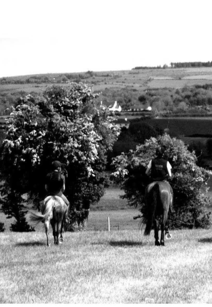 The Horse Shoe Experience 100 yrs of horse shoe history - Image 13