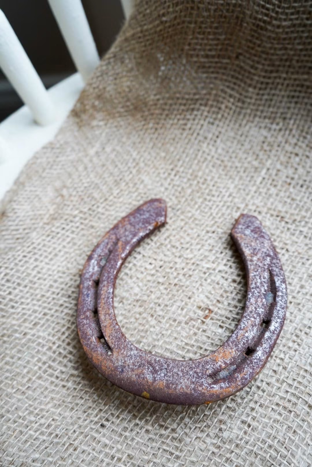 The Horse Shoe Experience 100 yrs of horse shoe history - Image 4
