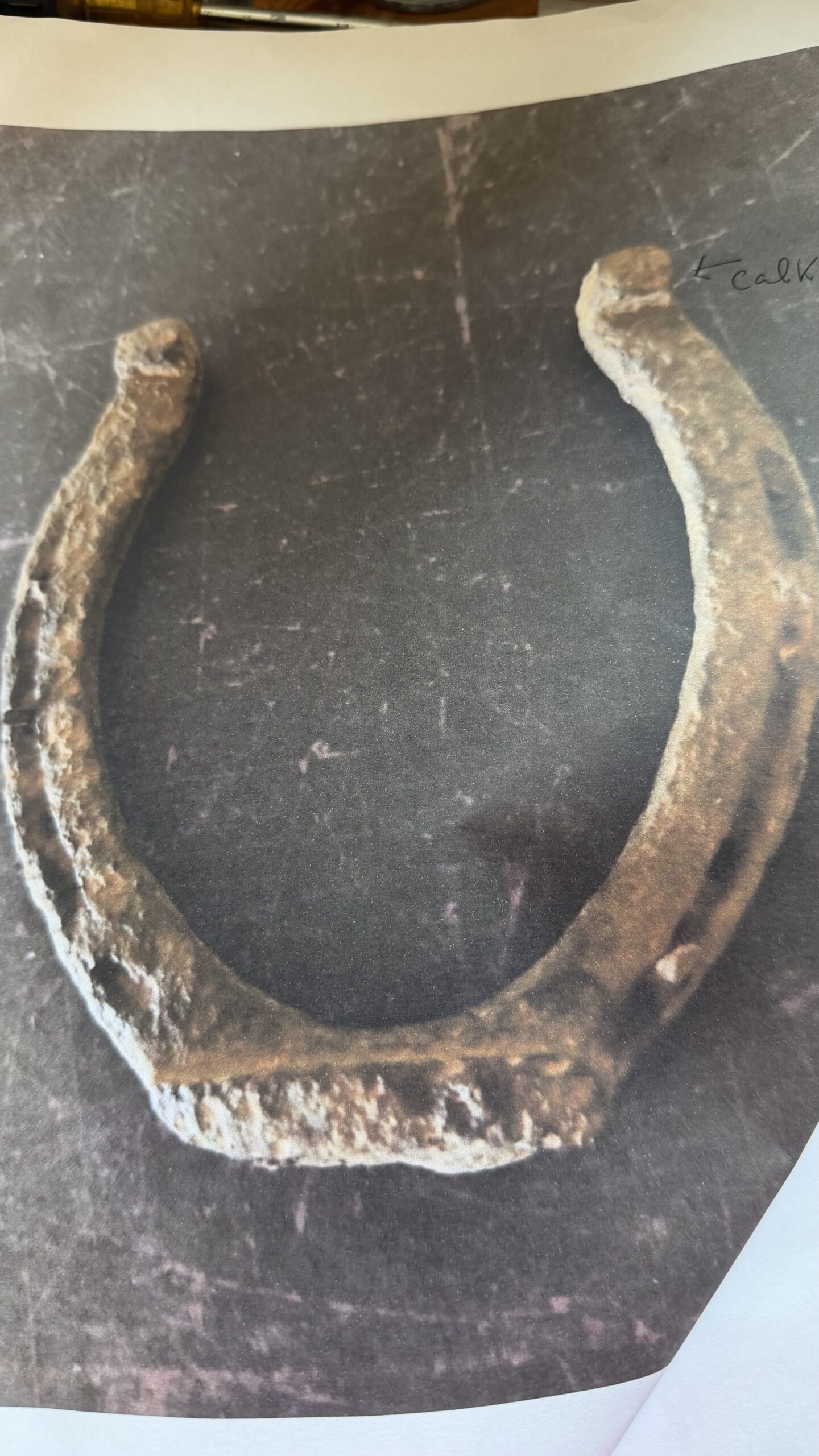 The Horse Shoe Experience 100 yrs of horse shoe history - Image 20