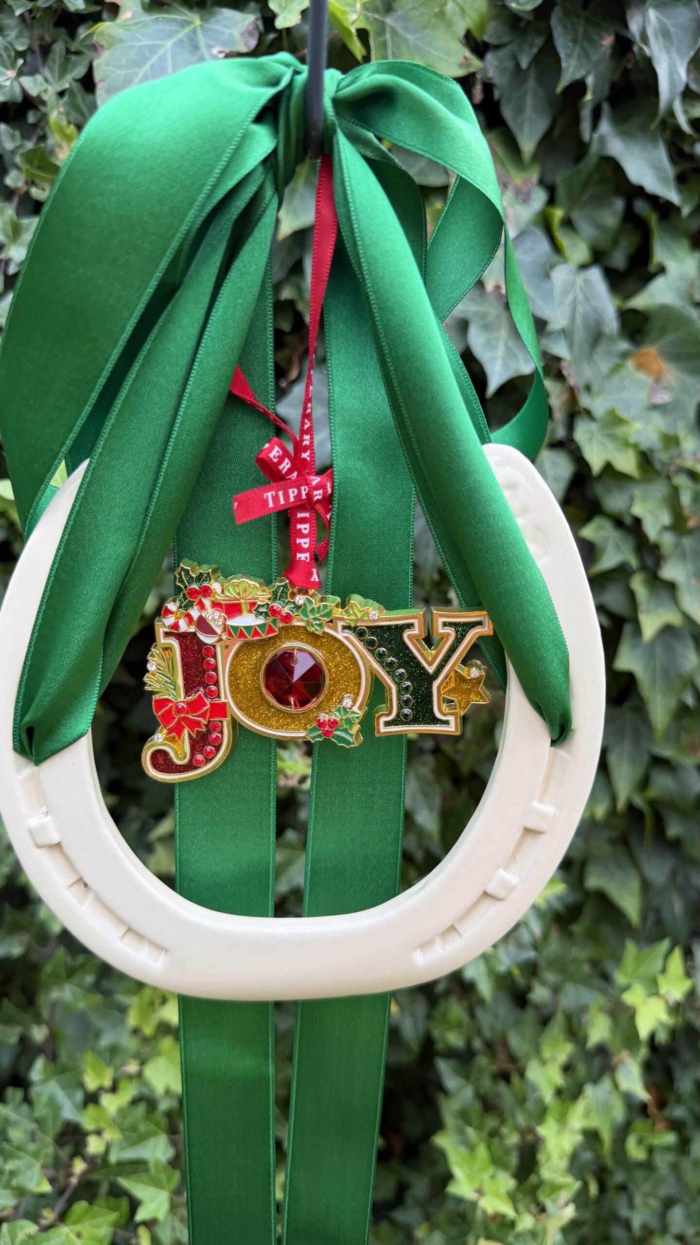 Joy and irish good luck - Image 3