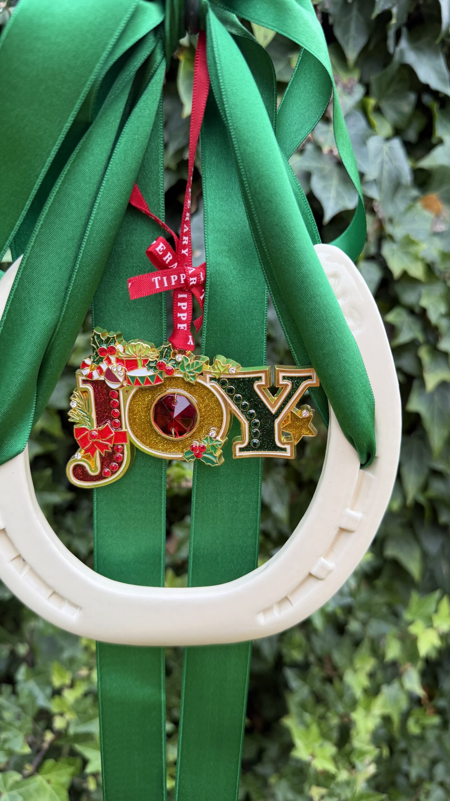 Joy and irish good luck - Image 2