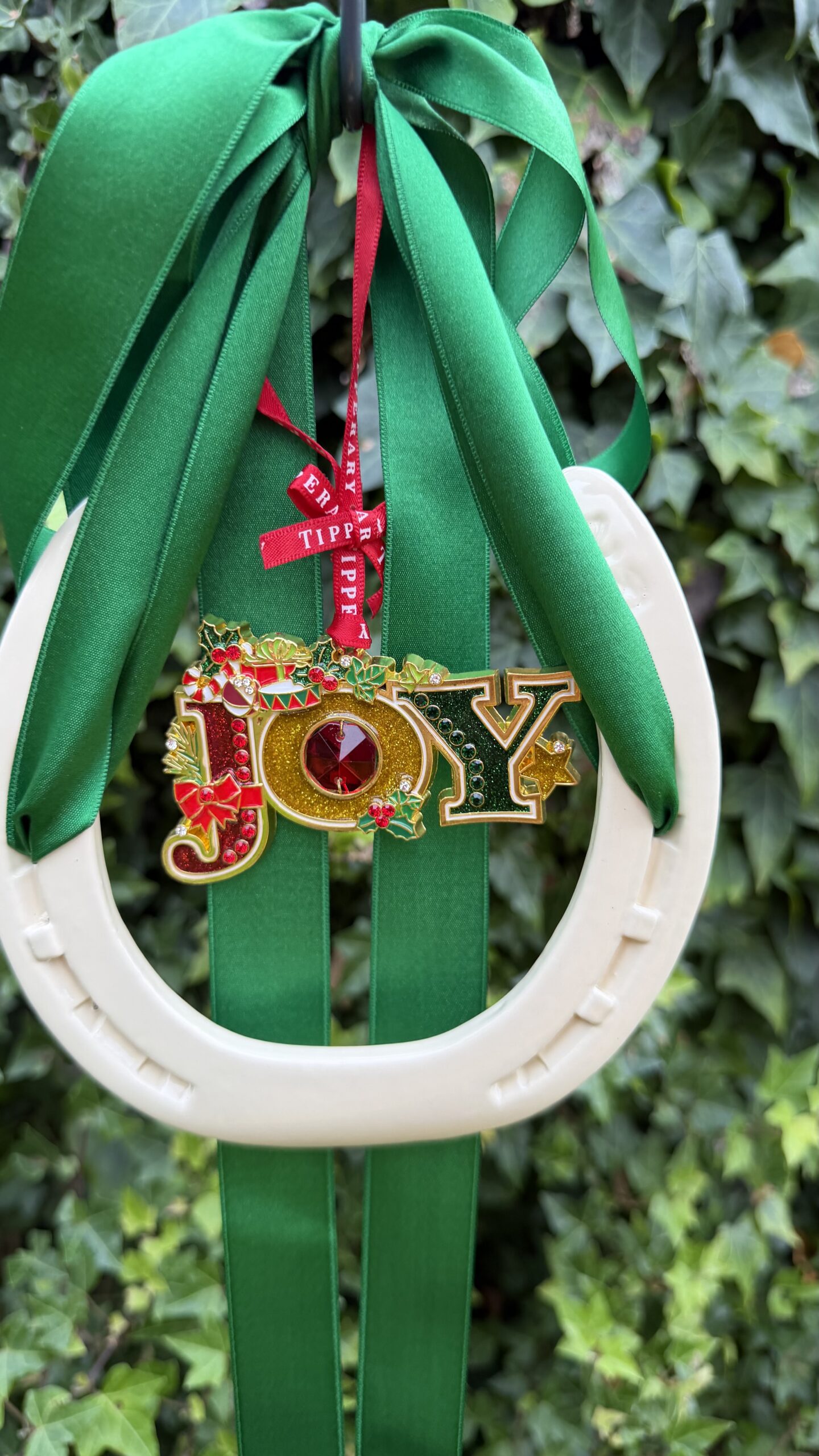 Joy and irish good luck - Image 6