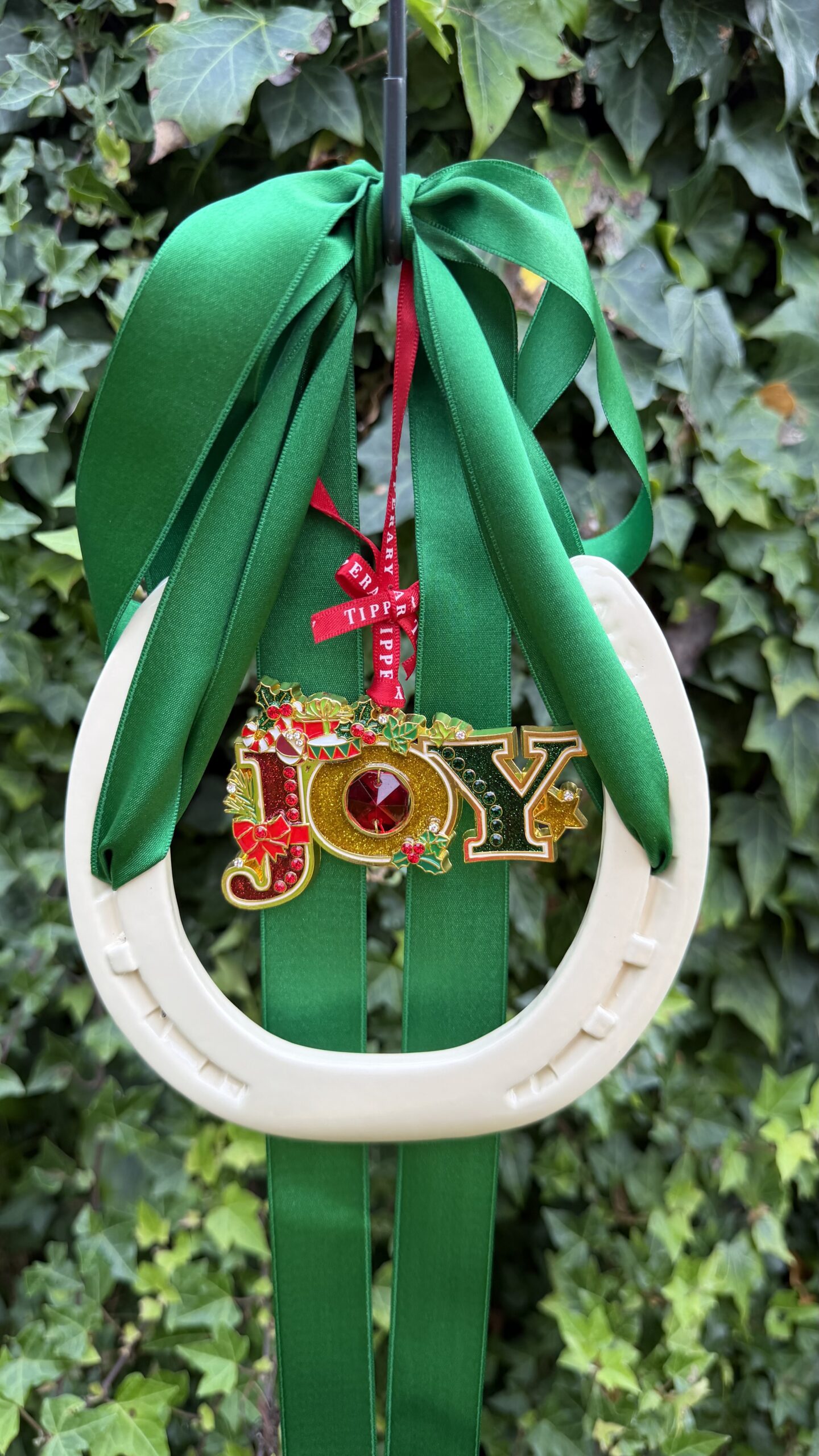 Joy and irish good luck - Image 5