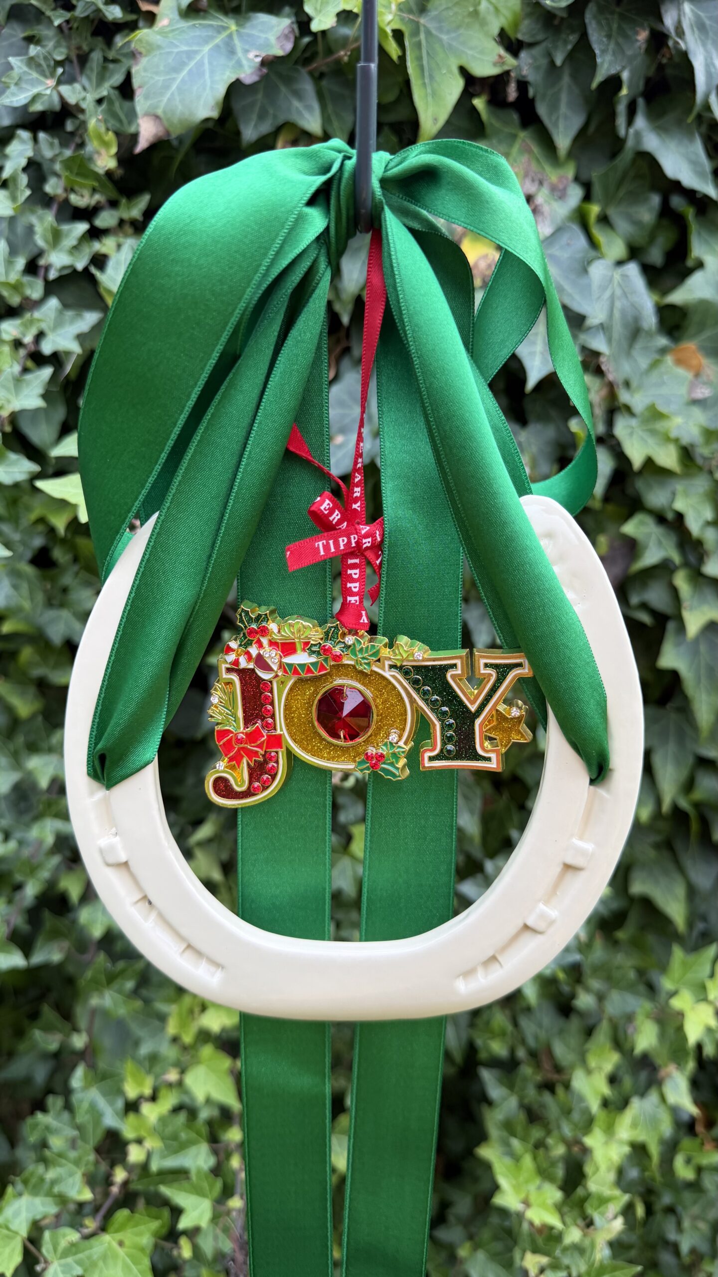 Joy and irish good luck