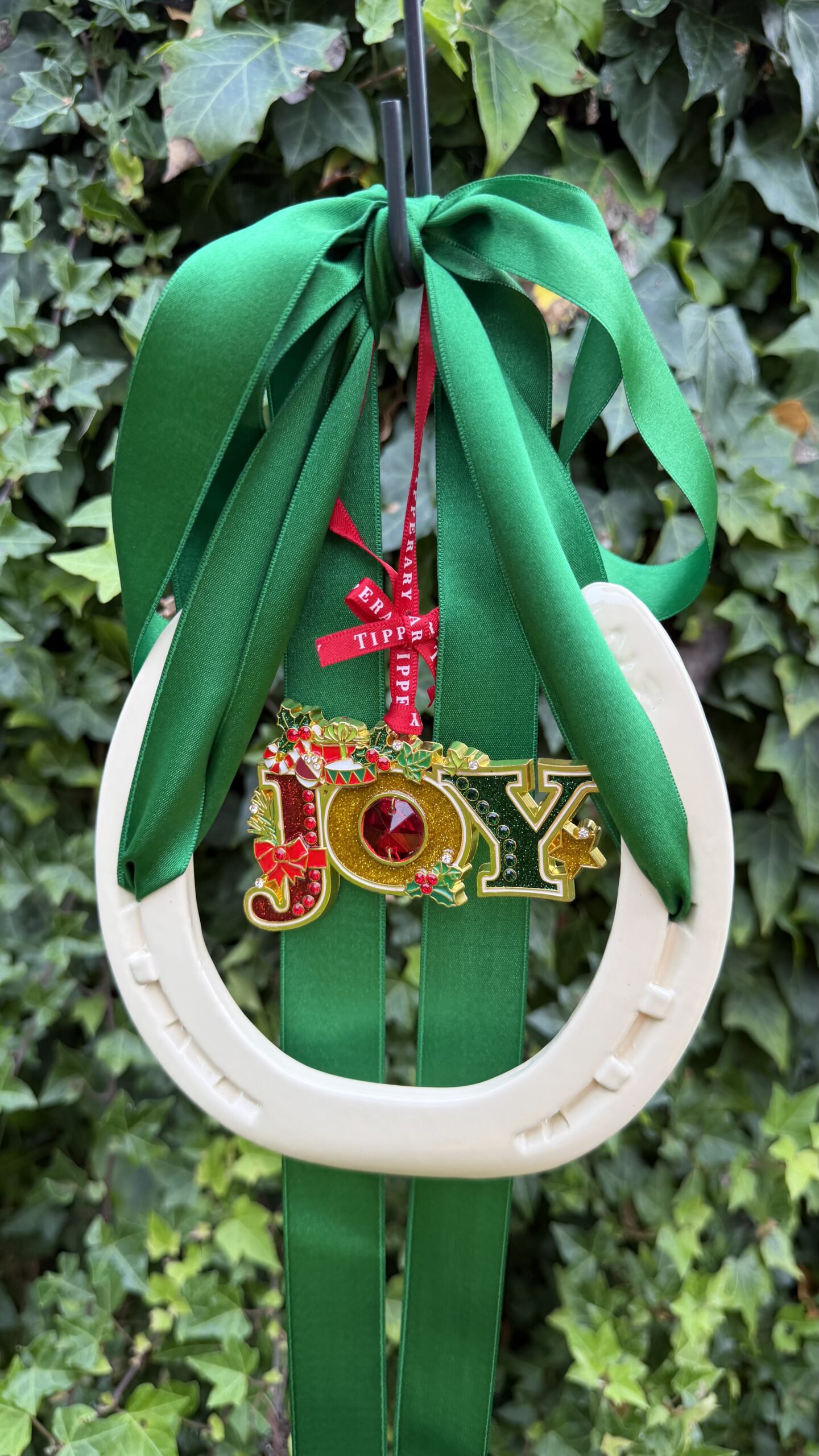 Joy and irish good luck - Image 7