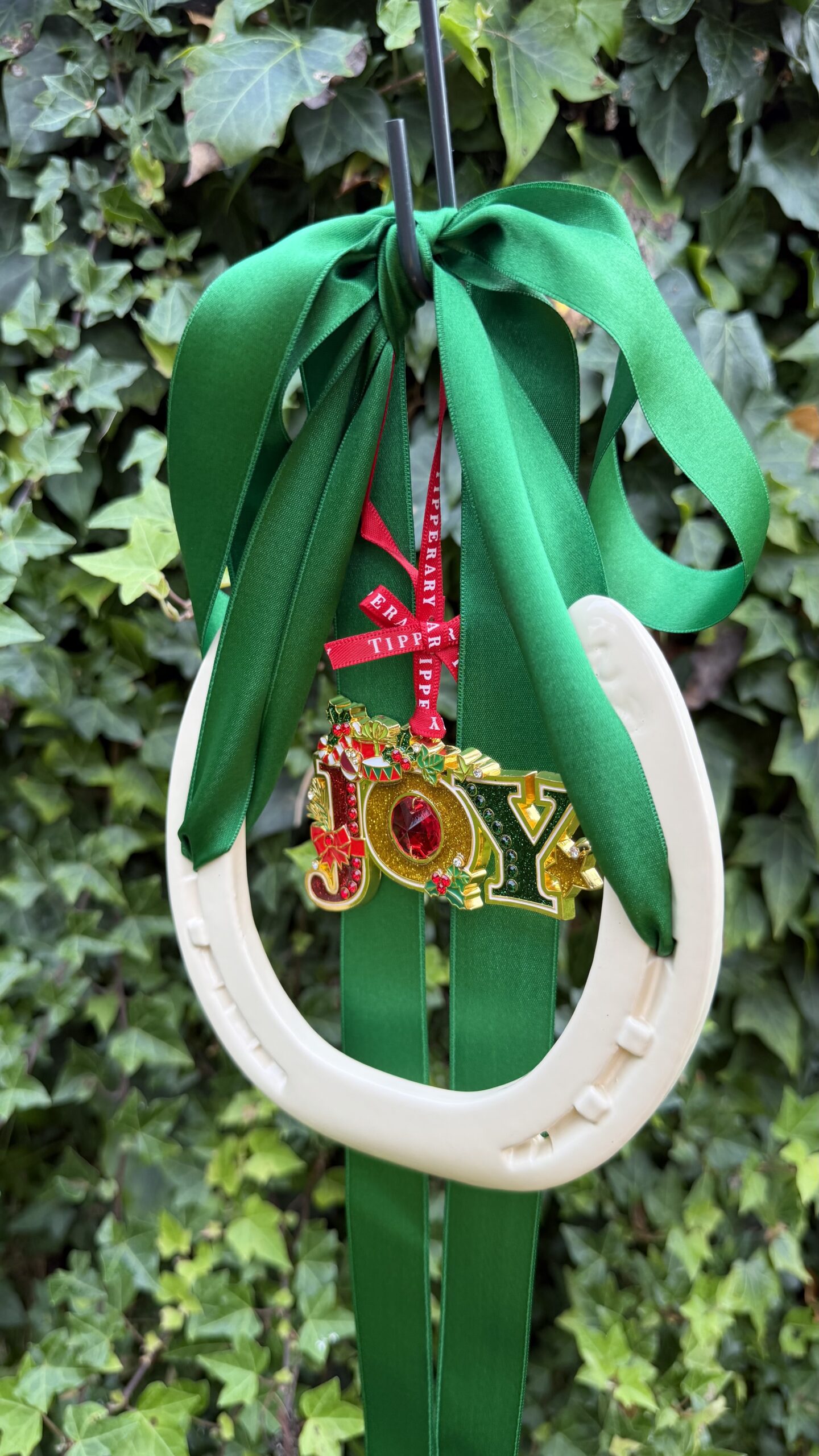 Joy and irish good luck - Image 8