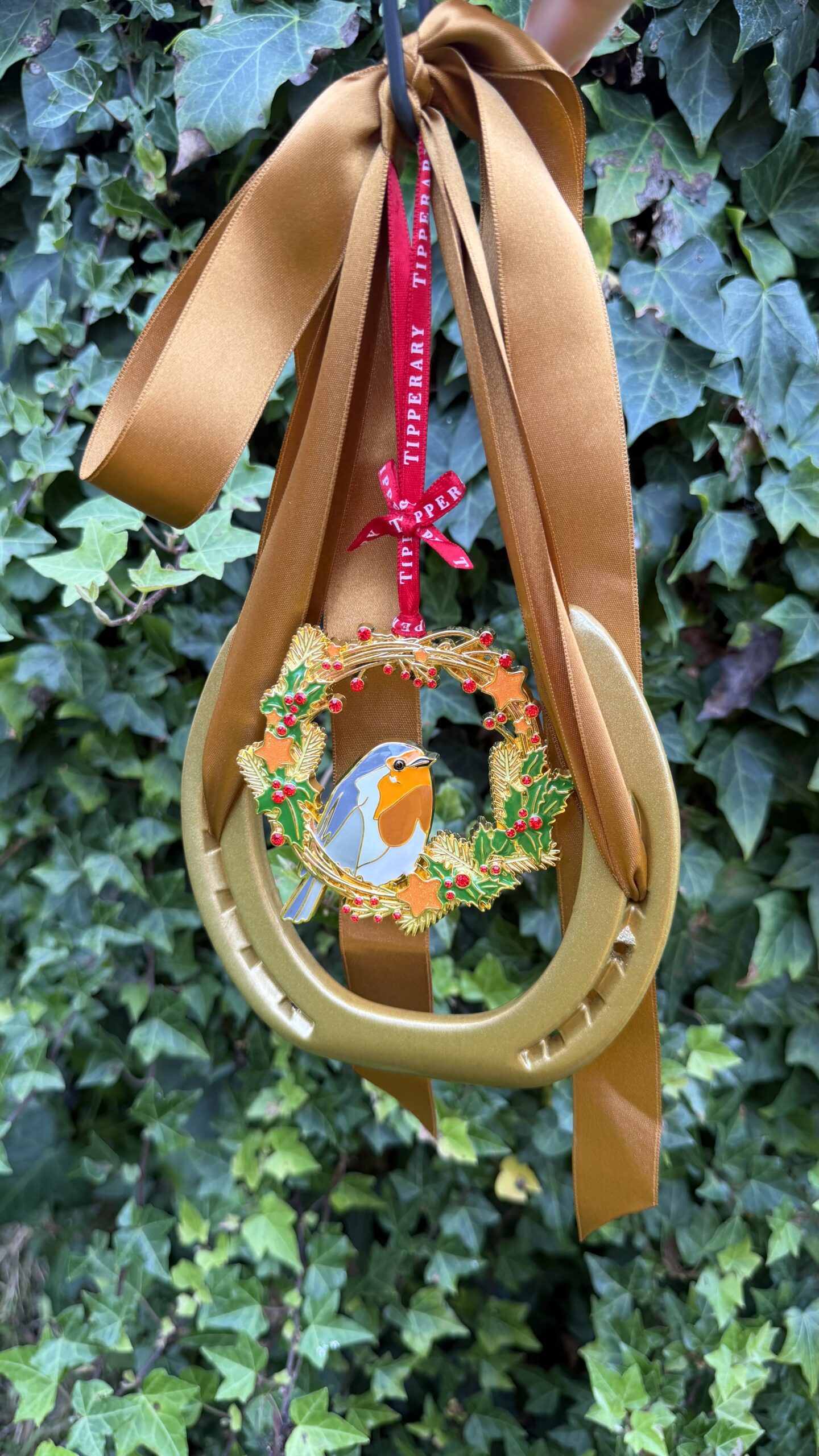 Christmas Robin and Wreath - Image 4