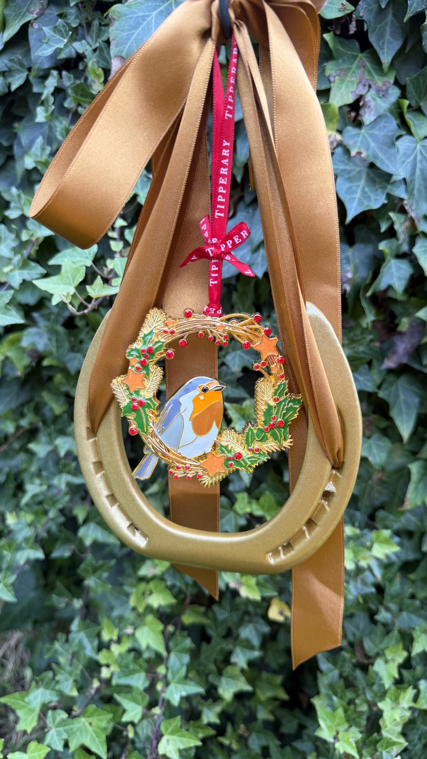 Christmas Robin and Wreath - Image 6