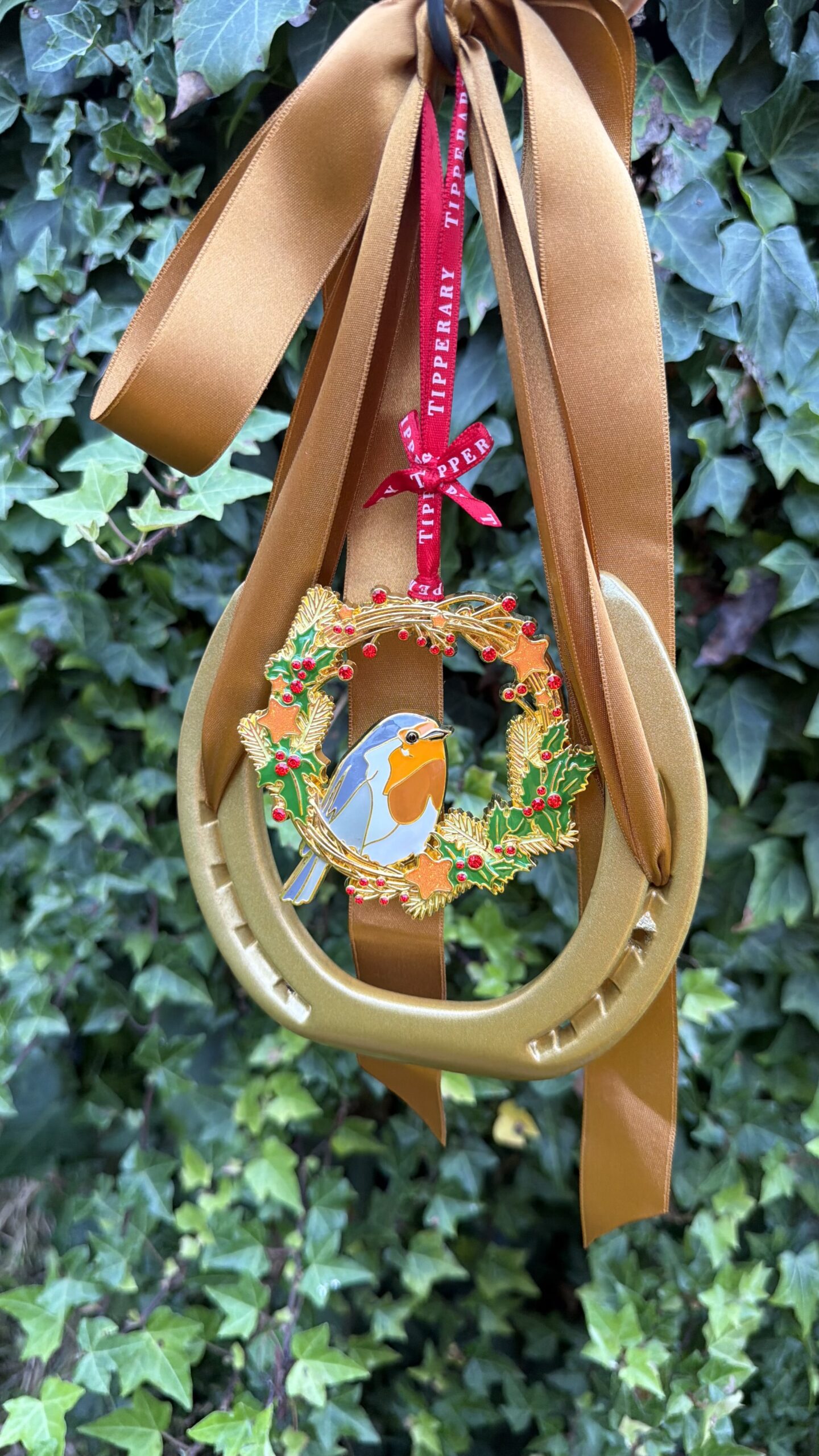 Christmas Robin and Wreath - Image 7
