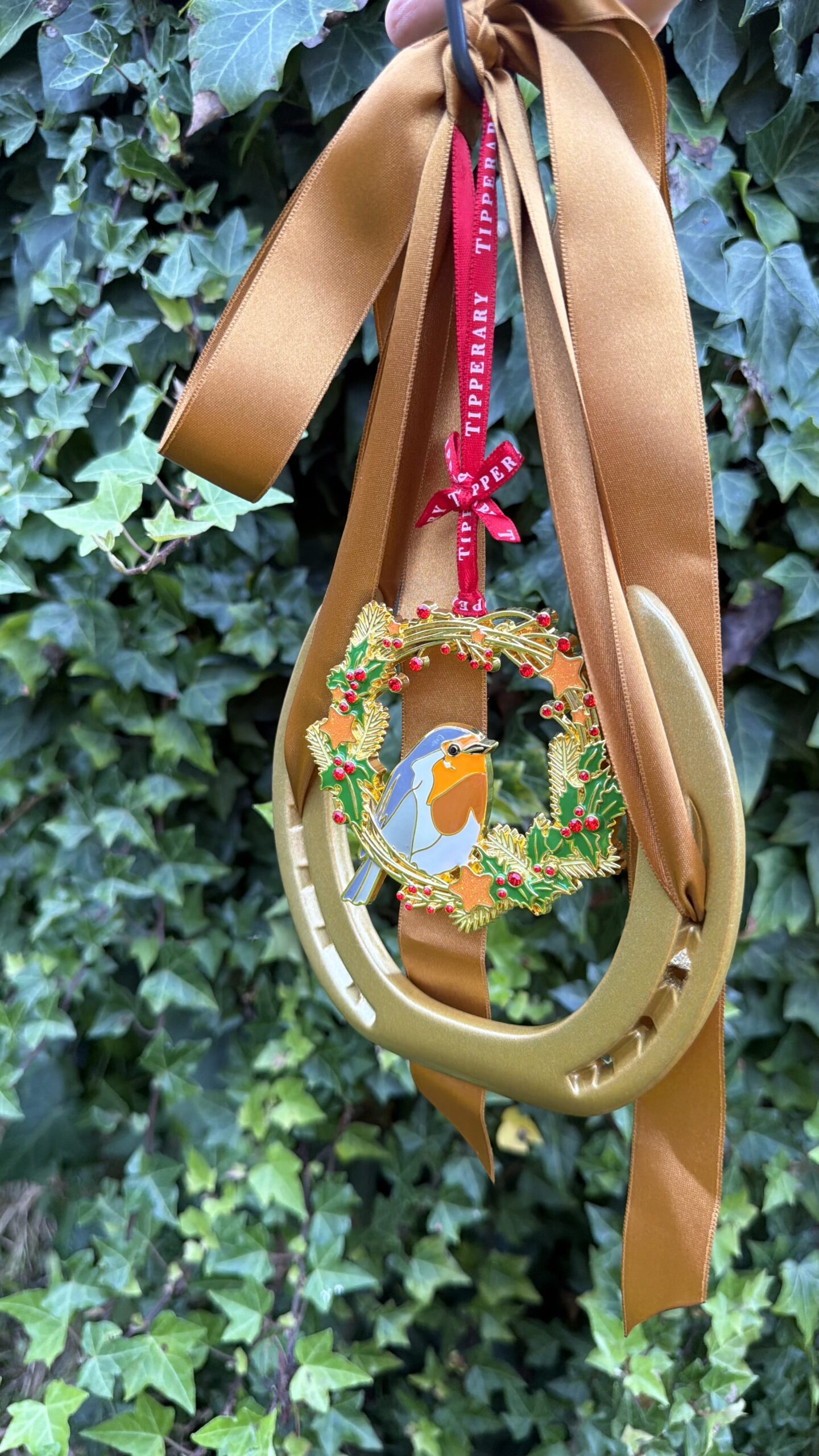Christmas Robin and Wreath - Image 8
