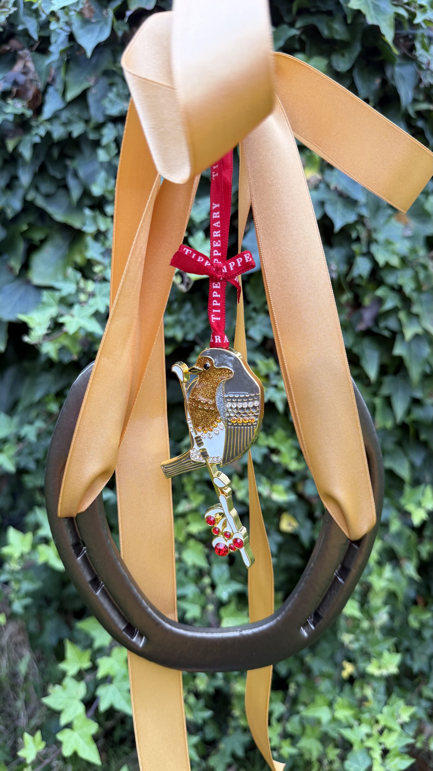 Christmas Robin on a branch and lucky horse shoe - Image 5